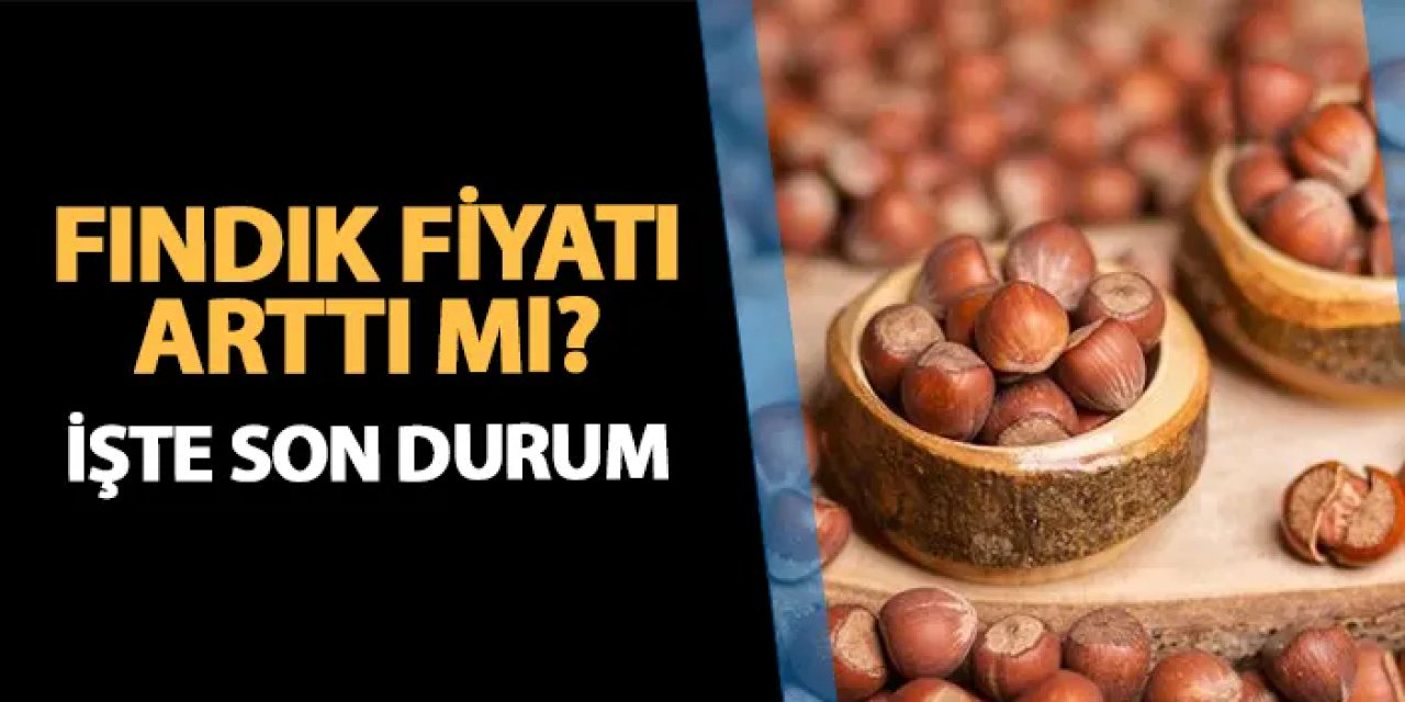 Fındık fiyatı arttı mı? İşte son durum