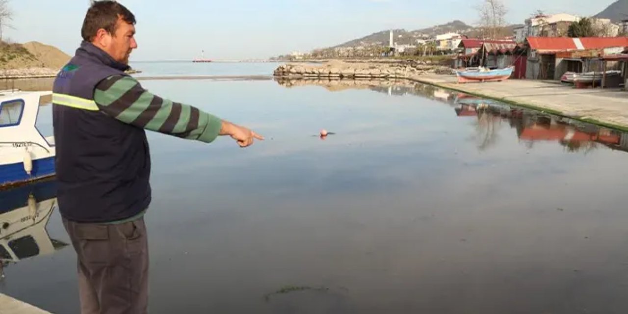 Giresun'da balıkçılar mahsur kaldı! Denize çıkamıyorlar