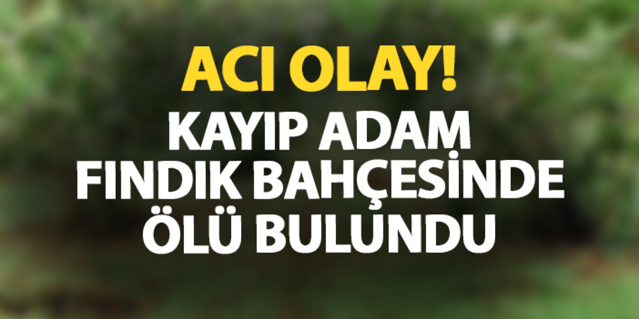 Ordu'da acı olay! Kayıp adam fındık bahçesinde ölü bulundu