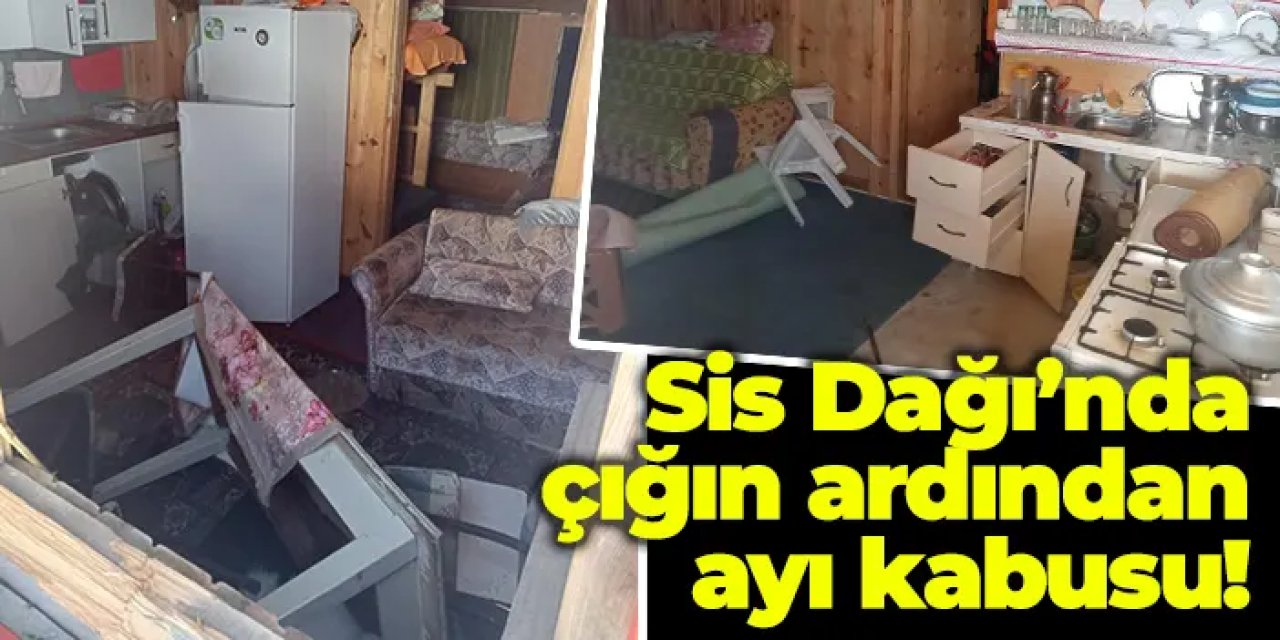 Sis Dağı’nda çığın ardından ayı kabusu!