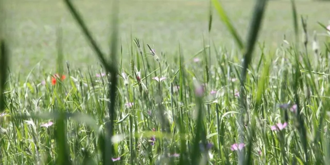 Samsun’dan çiftçilere güncelleme hatırlatması!