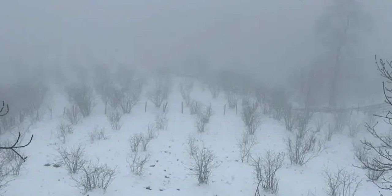 Samsun’da kar yağışı etkili oldu!