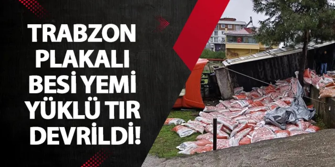 Trabzon plakalı besi yemi yüklü tır devrildi!