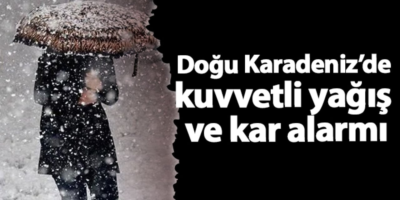 Doğu Karadeniz’de kuvvetli yağış ve kar alarmı