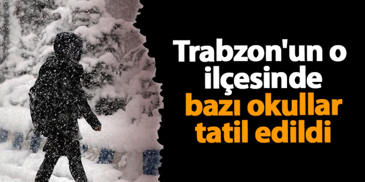Trabzon'un o ilçesinde bazı okullar tatil edildi