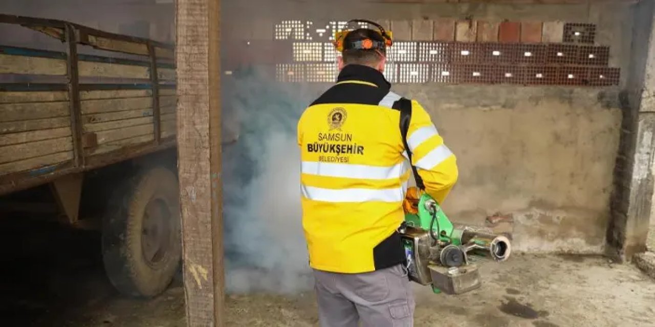 Samsun’da kokarcaya karşı kışlak mücadelesi!
