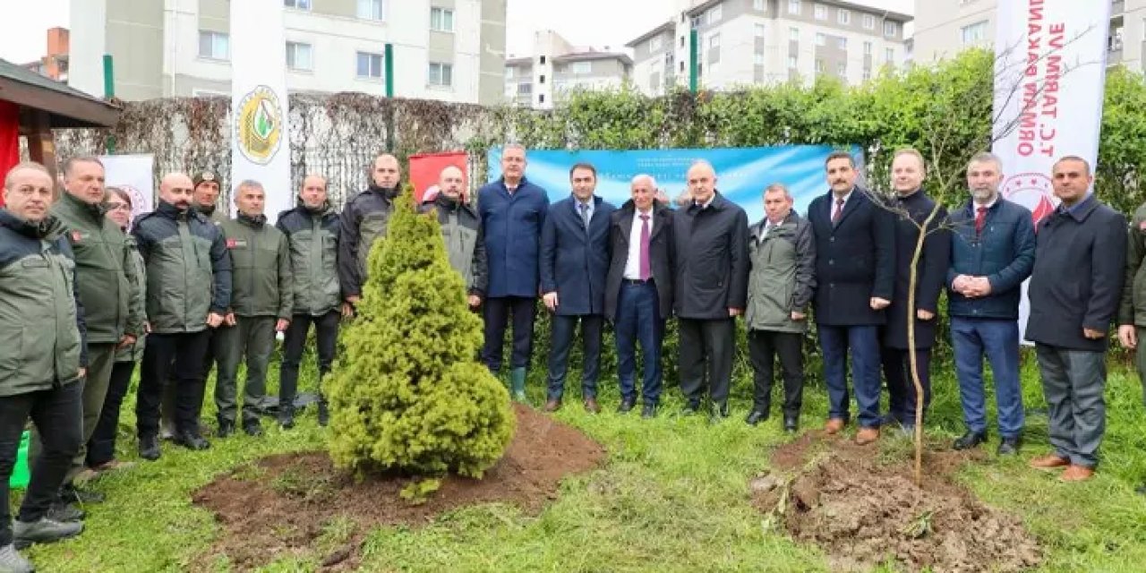 Ordu’da fidanlar toprakla buluşturuldu!