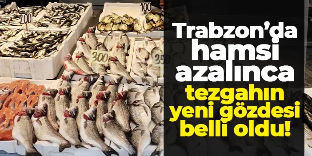 Trabzon’da hamsi azaldı, somon tezgahların gözdesi oldu!