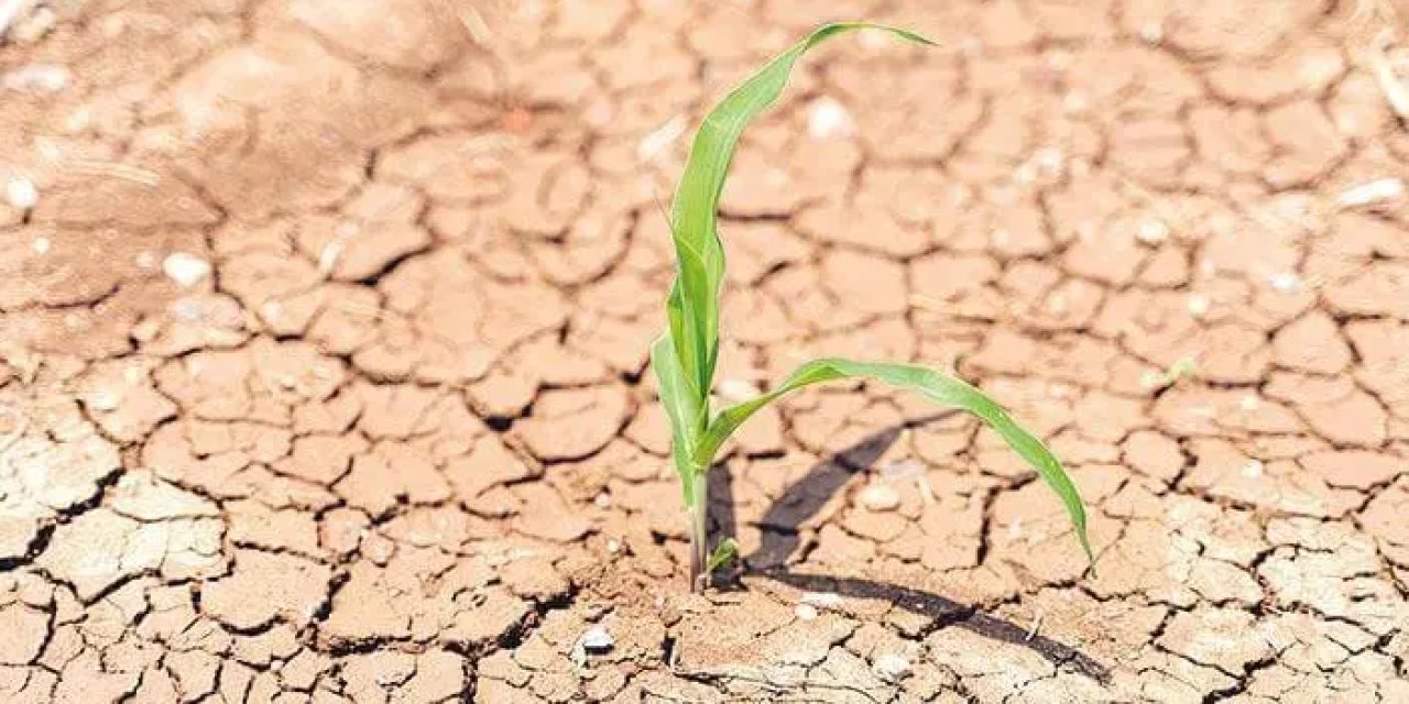 Karadeniz'de uzman isimden su kıtlığı uyarısı! "Yüksek ihtimal..."