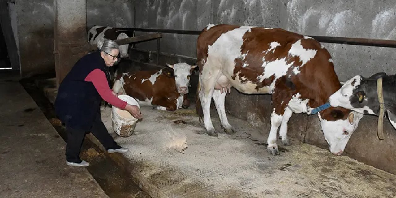 Kanseri toprakla yendi: Ordulu Mine Aydın’ın hayatını değiştiren yolculuk