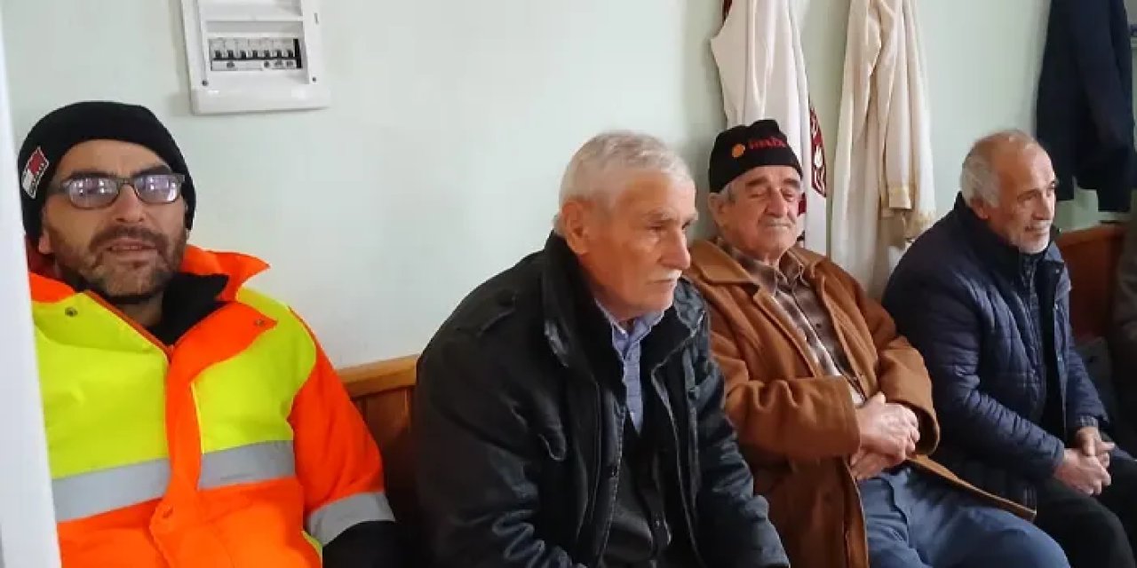 Samsun'da kahverengi kokarcaya karşı seferberlik