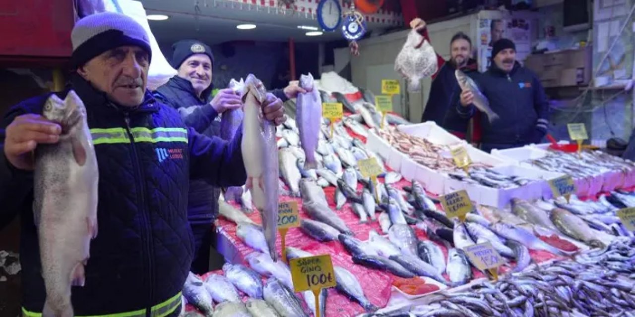 Samsun’da balıkçılar 7 sezonda bir gelen bolluktan memnun