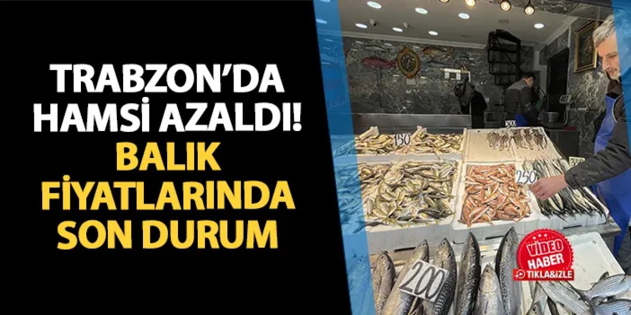 Trabzon'da hamsi azaldı! istavrit, mezgit, somon, levrek, çipura, alabalık fiyatlarında son durum