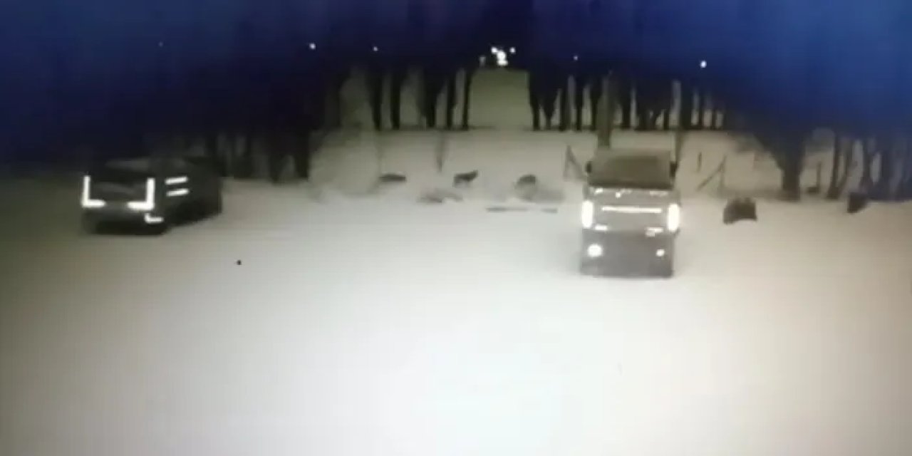 Bayburt’ta kurt sürücü köpeğe saldırdı!