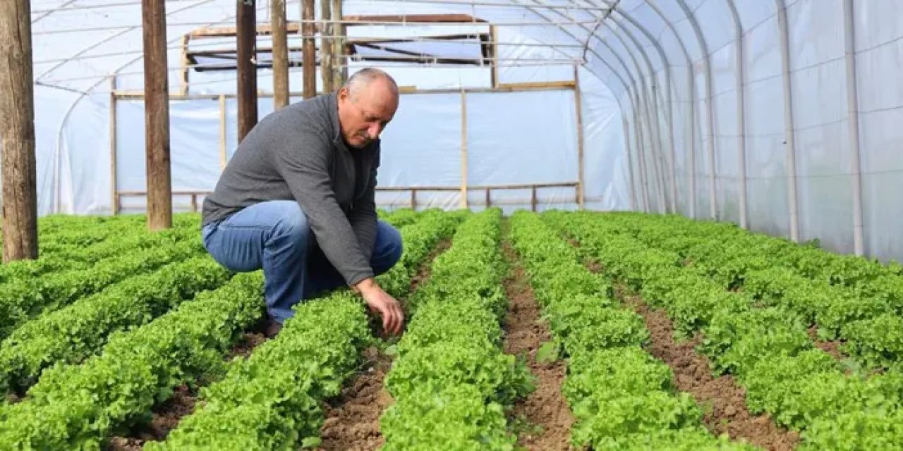 Ordu Büyükşehir yetiştiriyor, üreticiler kazanıyor!