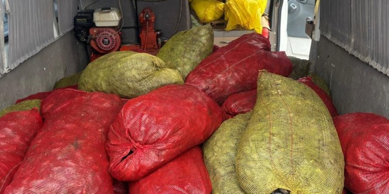 Samsun Havza’da Kaçak Avlanan 1,5 Ton Midye Ele Geçirildi