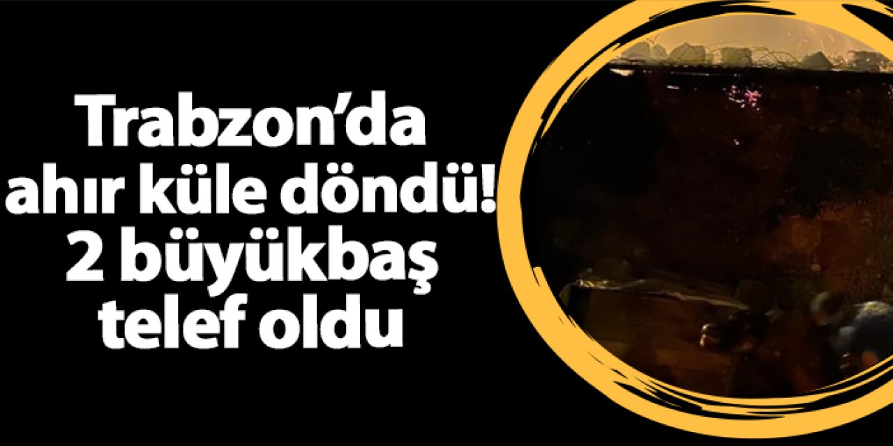 Trabzon’da ahır küle döndü! 2 büyükbaş telef oldu