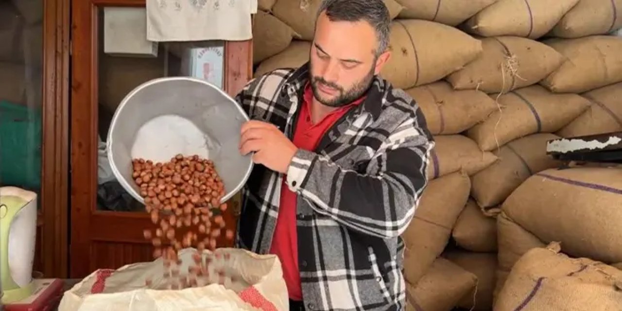 Giresun’da fındık fiyatı tarihi zirvede: 145 lira!