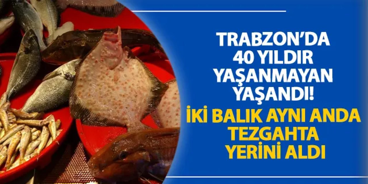 Trabzon’da 40 yıldır yaşanmayan yaşandı! İki balık aynı anda tezgahta yerini aldı