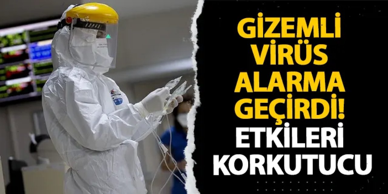 Gizemli virüs alarma geçirdi! Etkileri korkutucu