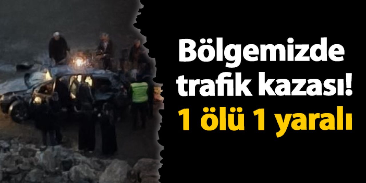 Artvin'de trafik kazası: 1 ölü 1 yaralı