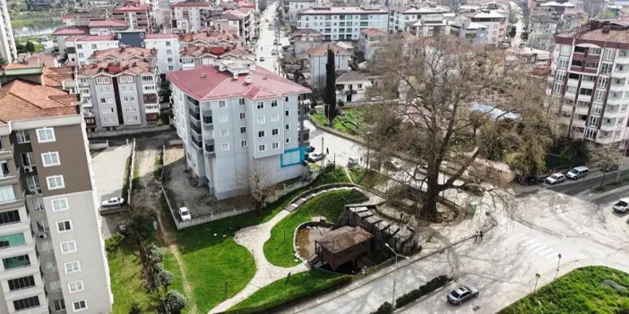Samsun’da 6 asırlık ağaç ve değirmen ilçe merkezini süslüyor!