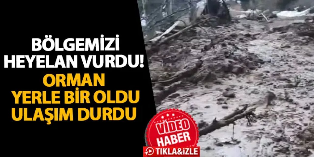 Artvin’i heyelan vurdu! Orman yerle bir oldu, ulaşım durdu