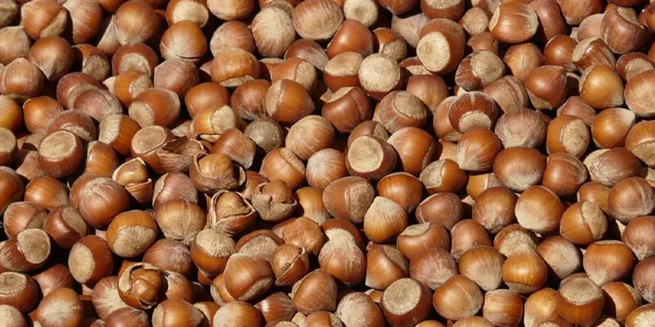 Fındık fiyatlarında son durum ne? İşte güncel fiyatlar