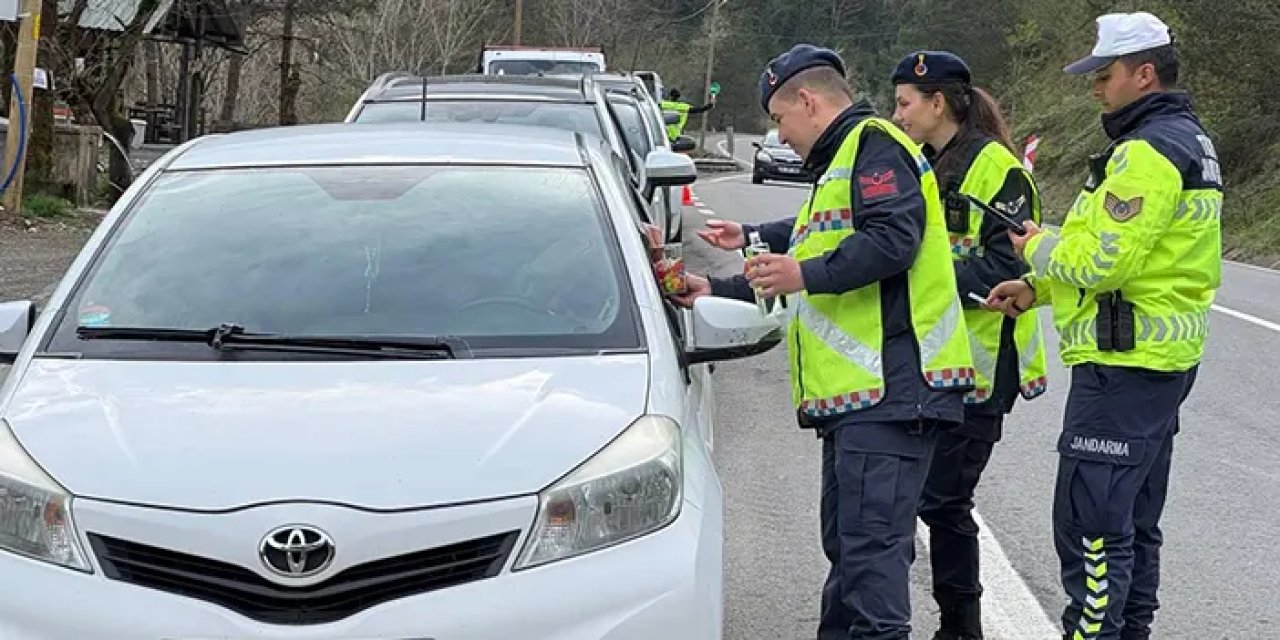 Artvin'de jandarma ekiplerinden sürücü ve yolculara denetim