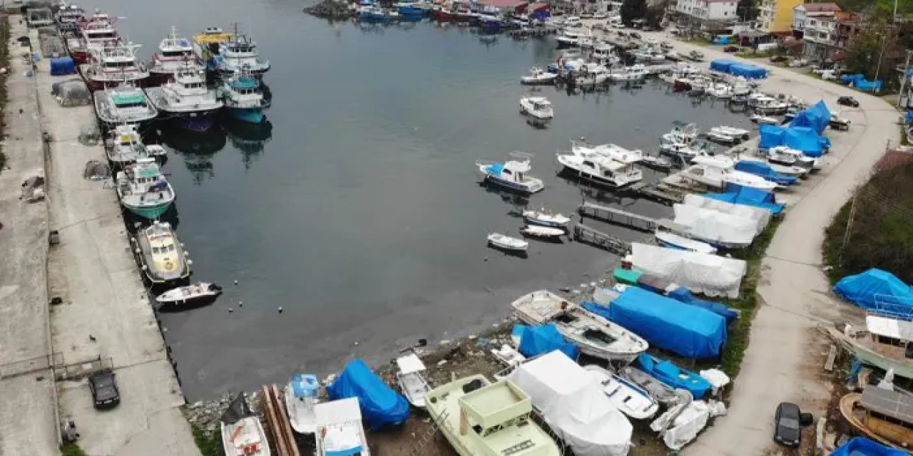 Ordulu balıkçılardan sezon değerlendirmesi! “Çok bereketli geçti”