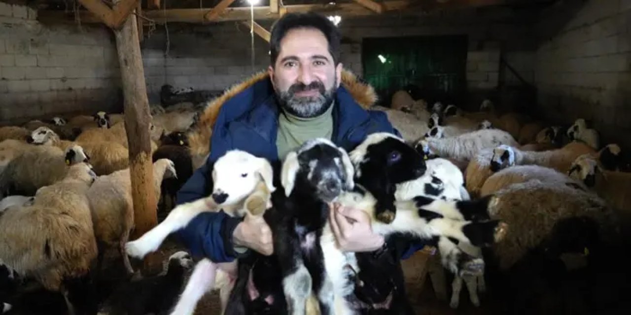 Bayburt’ta besicilerin oğlak ve kuzu büyütme telaşı!