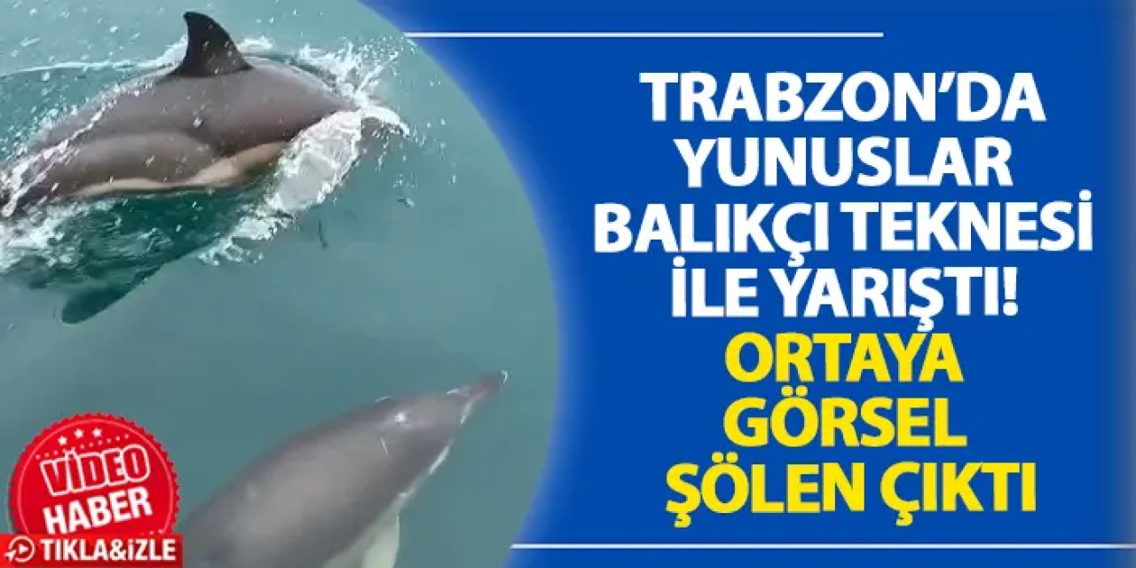 Trabzon’da yunuslar balıkçı teknesi ile yarıştı! Ortaya görsel şölen çıktı
