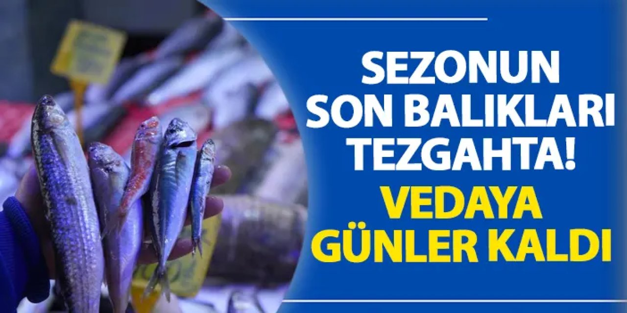 Samsun’da sezonun son balıkları tezgahta! Vedaya günler kaldı
