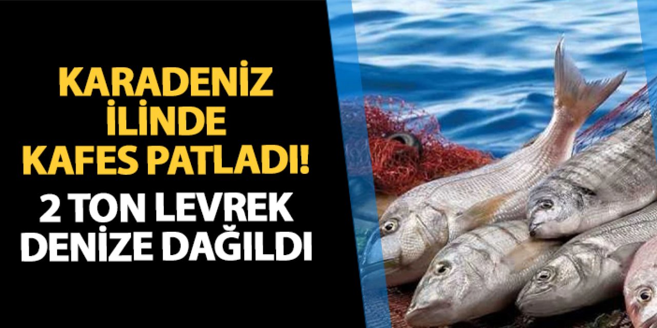 Rize'de kafes patladı! 2 ton levrek denize dağıldı: Oltasını alan sahile koştu
