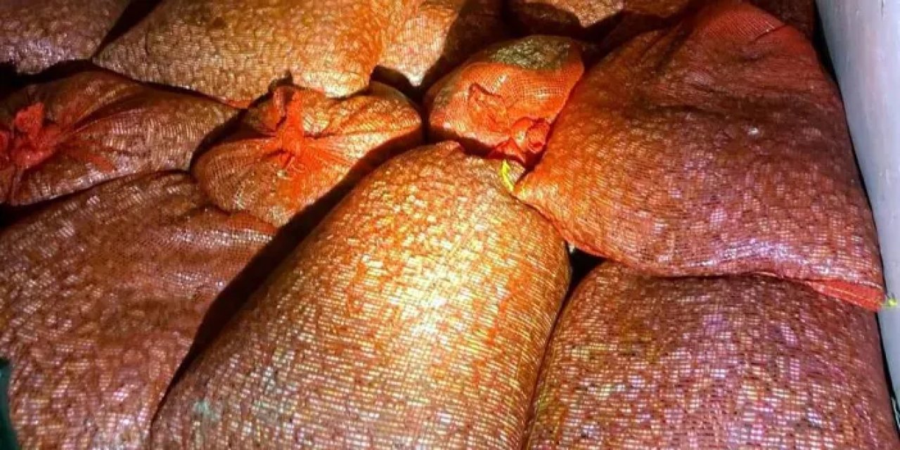 Samsun’da kaçak avlanan 1 ton midye denize geri bırakıldı!