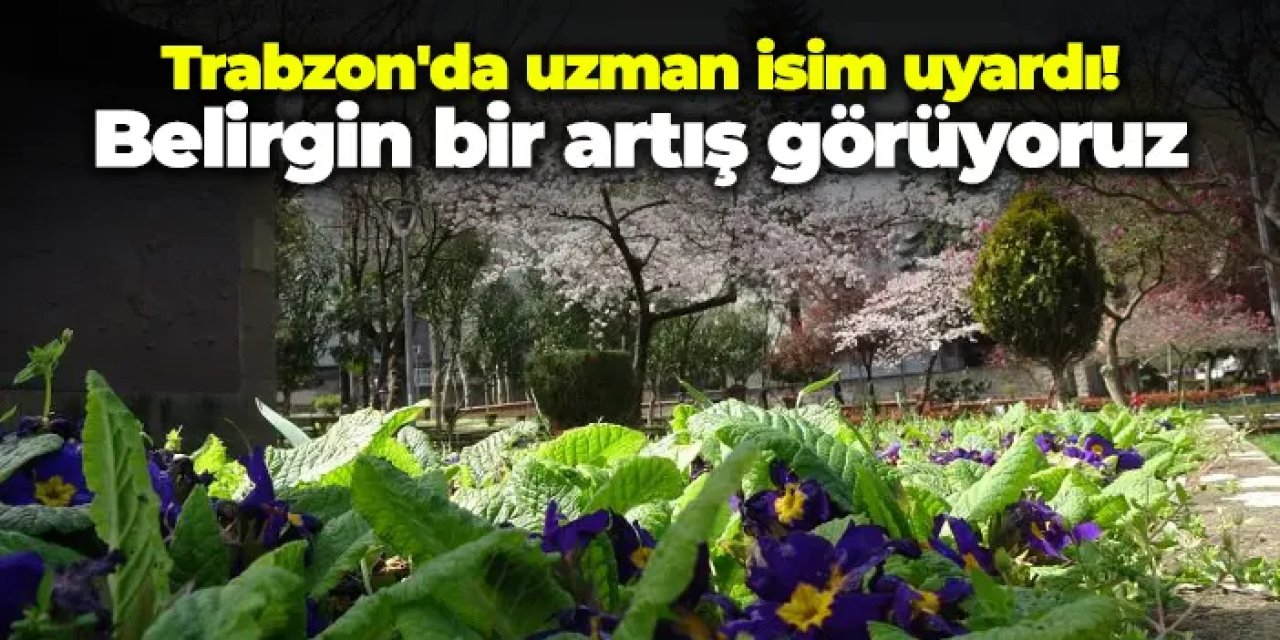 Trabzon'da uzman isim uyardı! Belirgin bir artış görüyoruz