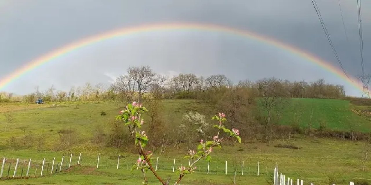 Samsun’da yağmurun ardından doğa tabloya dönüştü!