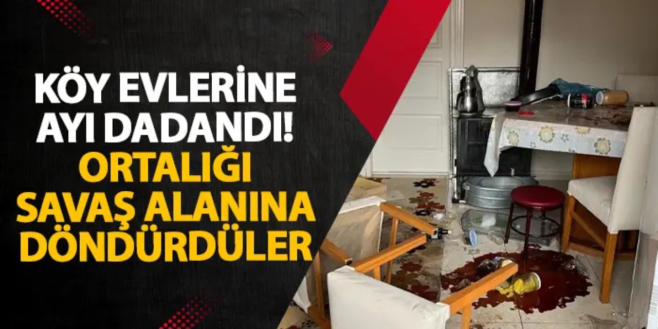 Artvin’de köy evlerine ayı dadandı! Ortalığı savaş alanına döndürdüler