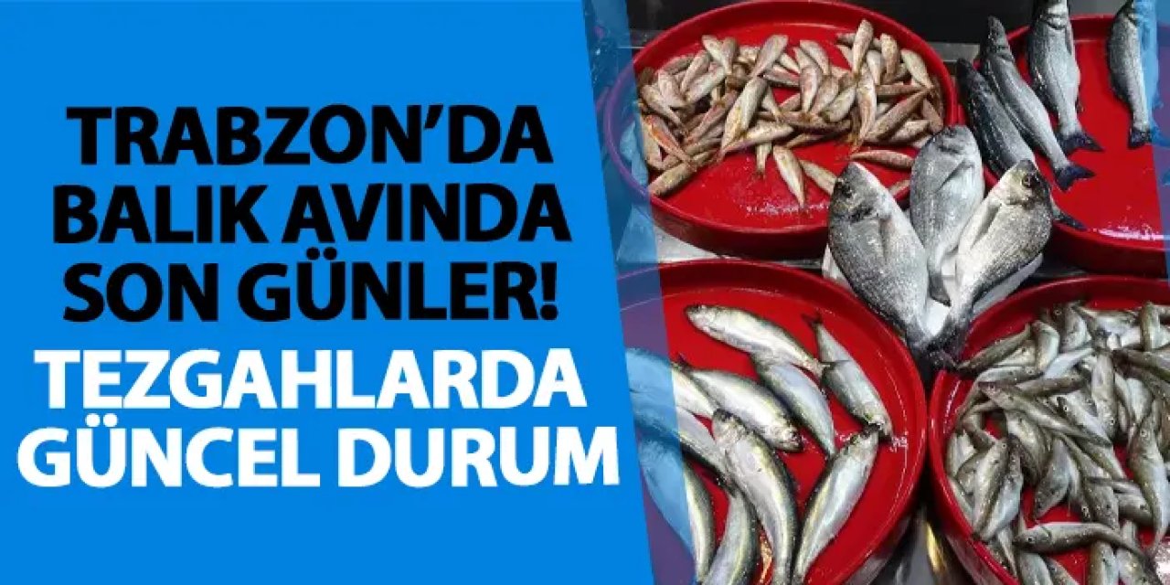 Trabzon’da balık avında son günler! Tezgahlarda güncel durum