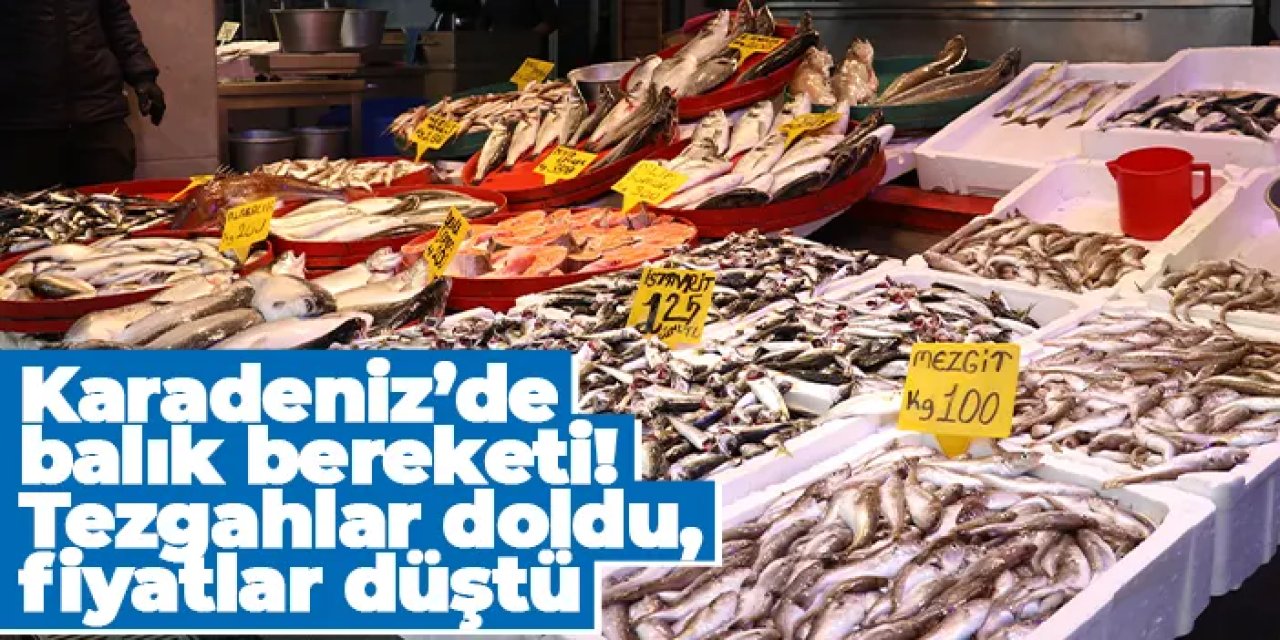 Karadeniz’de balık bereketi: Tezgahlar doldu, fiyatlar düştü