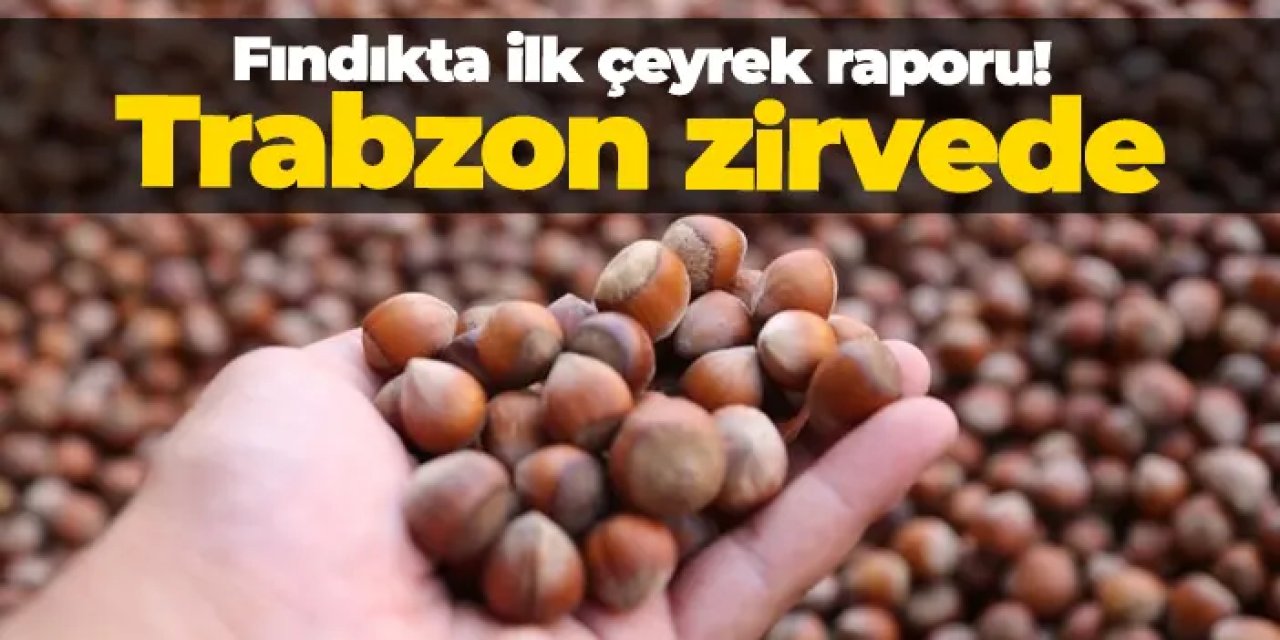 Fındıkta ilk çeyrek raporu! Trabzon zirvede