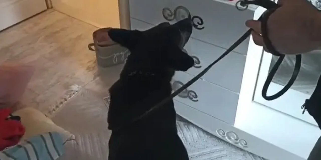 Samsun’da zehir operasyonu! 1 kilo 715 gram uyuşturucu bulundu