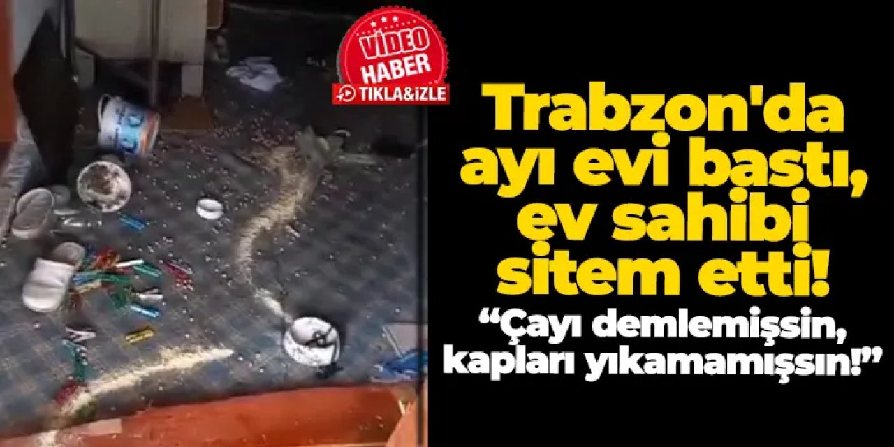 Trabzon'da ayı evi bastı, ev sahibi sitem etti: “Çayı demlemişsin, kapları yıkamamışsın!”