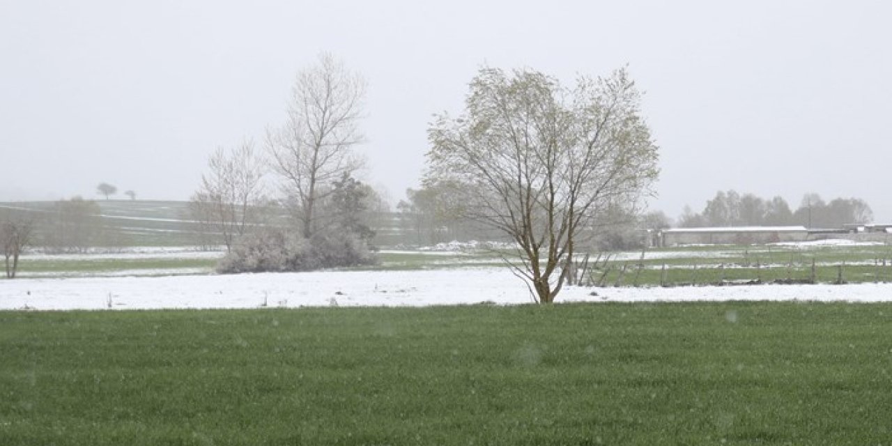 Samsun'da şeker pancarı ekim alanı artırılacak