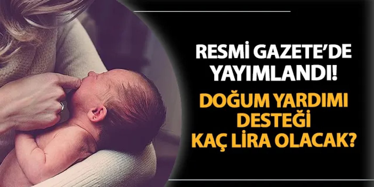 Doğum yardımı yönetmeliği Resmi Gazete'de! Kaç lira destek verilecek?