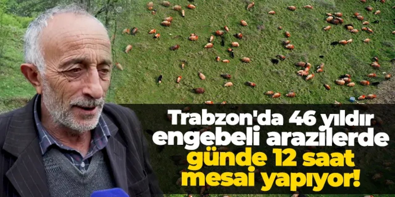 Trabzon'da 46 yıldır engebeli arazilerde günde 12 saat mesai yapıyor