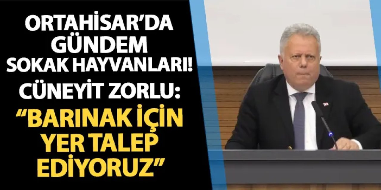 Ortahisar'da gündem sokak hayvanları! Cüneyit Zorlu: "Barınak için yer talep ediyoruz"