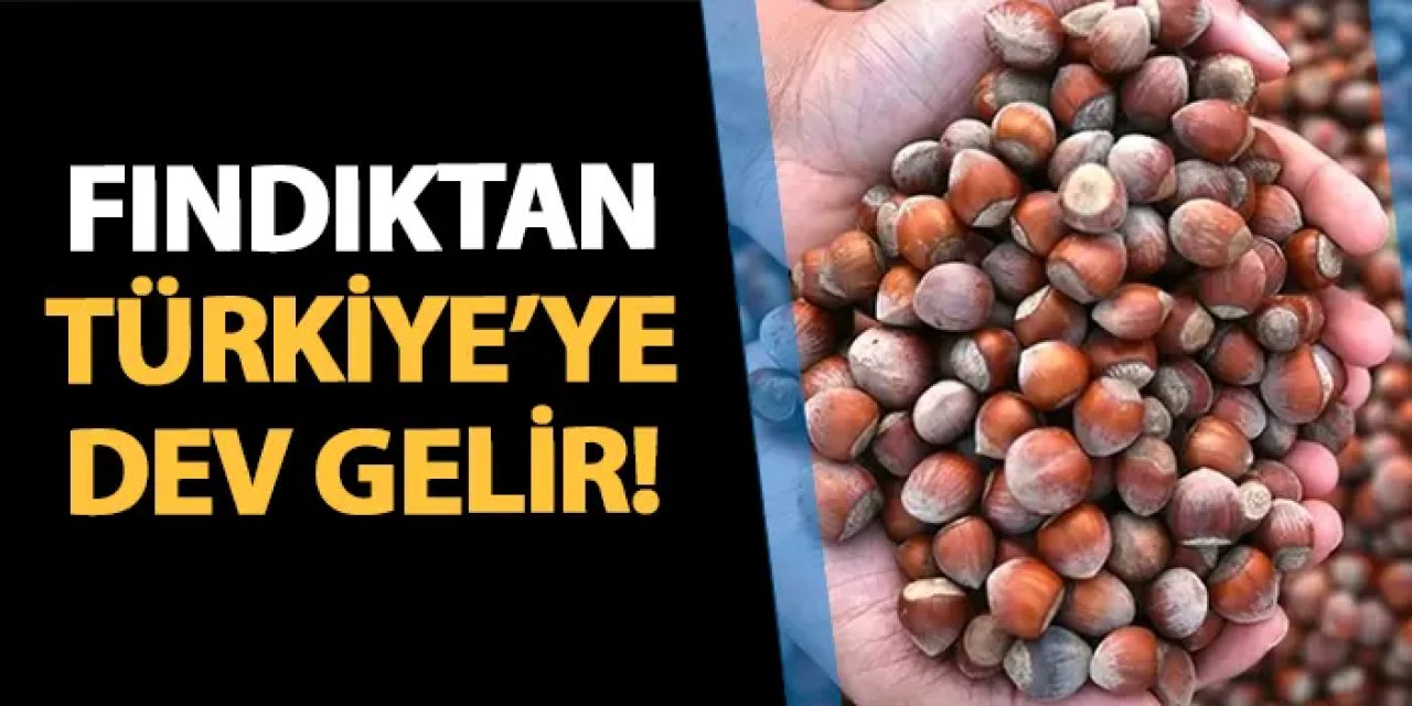 Fındıktan Türkiye'ye dev gelir: Yılın ilk çeyreğinde 419 milyon doları geçti