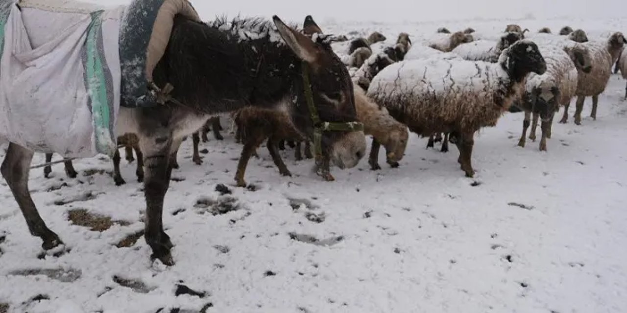 Bayburt Nisan ayında karlandı! Kent beyazladı