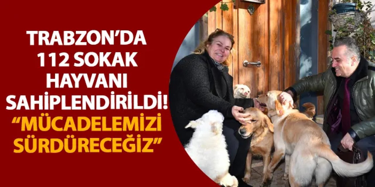 Trabzon’da 112 sokak hayvanı sahiplendirildi! “Mücadelemizi sürdüreceğiz”